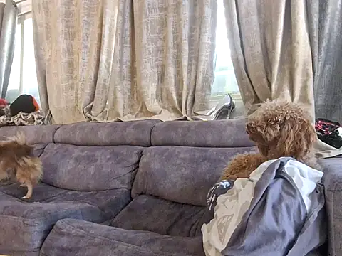 Snapshot of Alexis21821 chatting on 12.03.25 Alexis21821 online show from 12.03.25