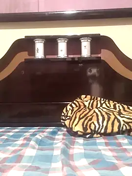 Snapshot of Cachorrinha2025 chatting on 11.13.25 Cachorrinha2025 online show from 11.13.25