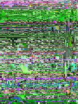 Luna-ass online show from 04.30.26