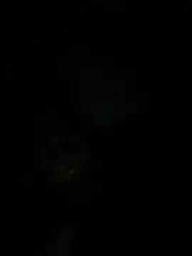 RangingWarranty online show from 10.20.25