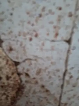 Snapshot of goodzx2 chatting on 09.16.25 goodzx2 online show from 09.16.25