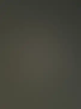 Snapshot of Nataku10 chatting on 12.04.25 Nataku10 online show from 12.04.25