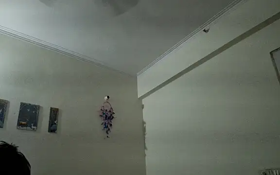 Snapshot of Aasmaan69Aranya chatting on 04.01.26 Aasmaan69Aranya online show from 04.01.26