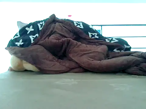 loveninja online show from 11.08.25