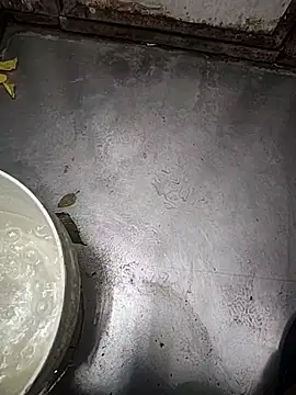 telugumodda4396 online show from 11.12.25