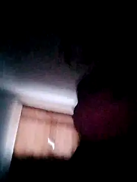 Snapshot of transreyna chatting on 02.04.25 transreyna online show from 02.04.25