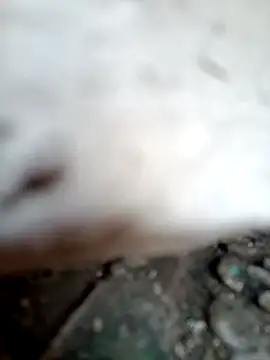 miss riya kol online show from 10.09.25