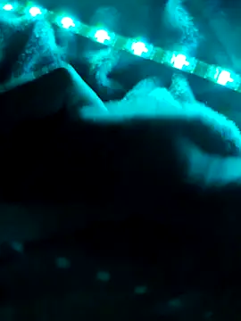 Snapshot of northboy91 chatting on 10.01.25 northboy91 online show from 10.01.25