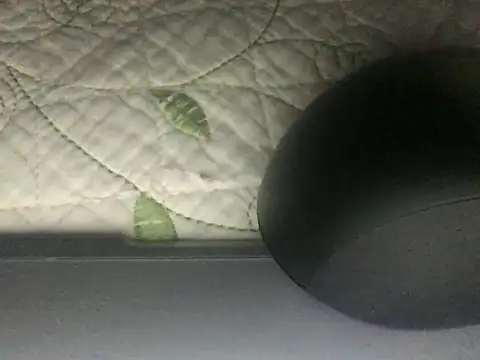 paula19800 online show from 10.03.25