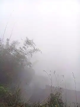 Mai lovely online show from 03.09.26