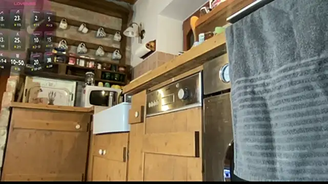 vani vibez online show from 11.23.25