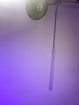 ChloeRosses online show from 03.06.26