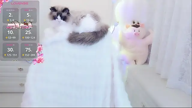 Coco-Di online show from 05.09.26
