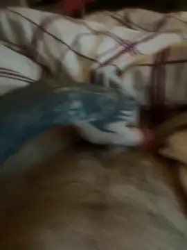 Thebald-topher online show from 09.28.25