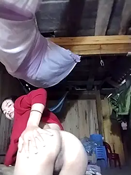 lmc-zz online show from 11.14.25