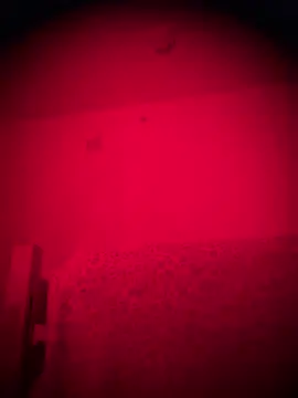 bellacagyal online show from 02.02.26