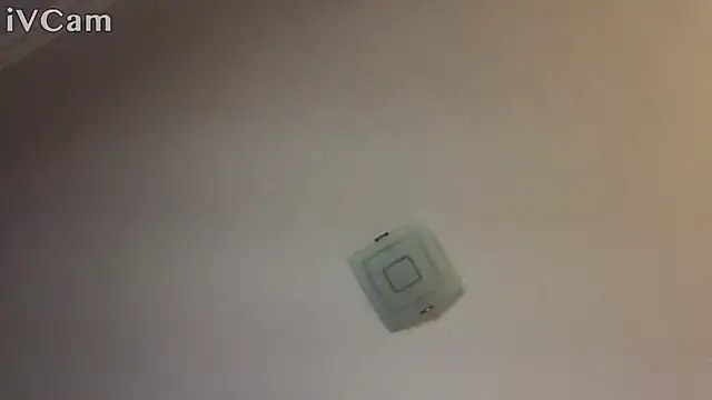 Snapshot of XxvanxX chatting on 11.14.25 XxvanxX online show from 11.14.25