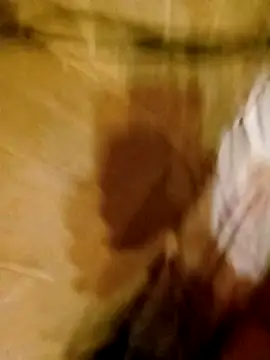 Apeesynka55211 online show from 03.11.26