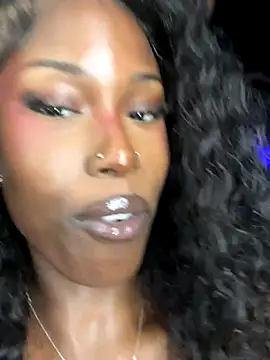 StarElexis online show from 11.11.25