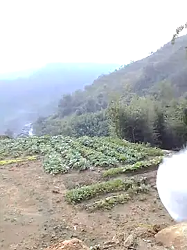 Snapshot of Bum_538 chatting on 11.23.25 Bum 538 online show from 11.23.25