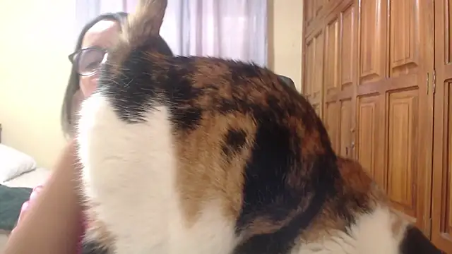 Snapshot of Venus_cat_ chatting on 02.08.26 Venus cat online show from 02.08.26