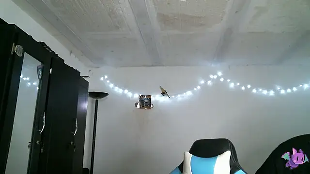 Dickie Dicking online show from 03.17.26