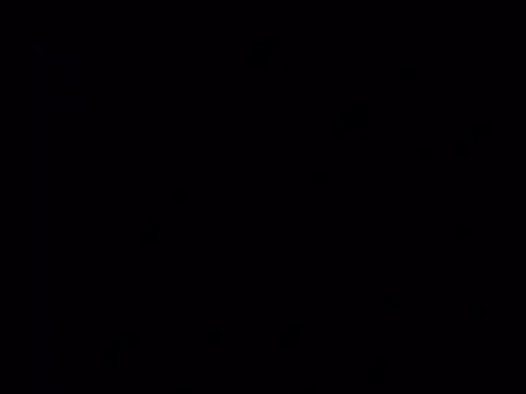 Curious9884 online show from 03.02.26