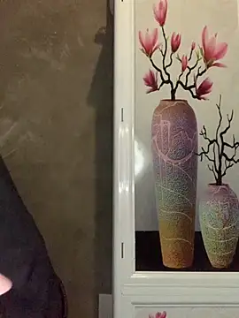 Snapshot of lan-xinh01 chatting on 11.04.25 lan-xinh01 online show from 11.04.25