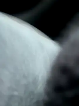 pleasedontpressaredburton online show from 10.14.25