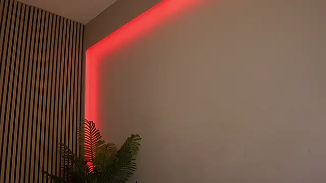 sisi von dee online show from 11.11.25