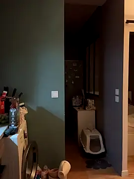 Snapshot of bebecita_x chatting on 11.14.25 bebecita x online show from 11.14.25