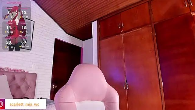 Snapshot of Scarlett_fox__ chatting on 11.08.25 Scarlett fox online show from 11.08.25