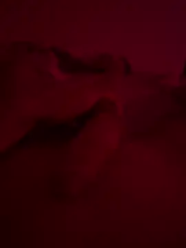 nieonixpeek19 online show from 02.02.26