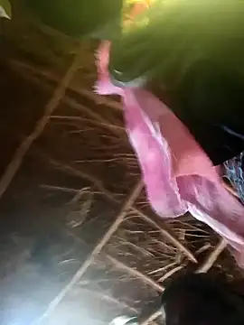 Janvi tv online show from 10.31.25