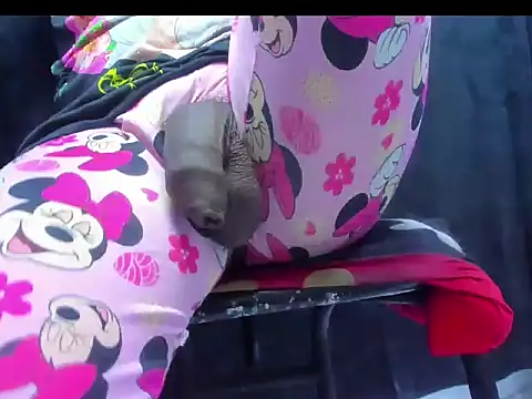 dirtybig cock22 online show from 11.22.25