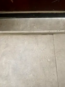 pn12345 online show from 12.01.25