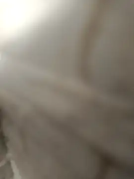 pn12345 online show from 12.04.25