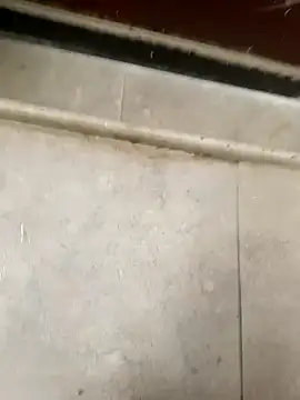 pn12345 online show from 12.05.25