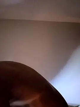 felipelon07 online show from 11.28.25