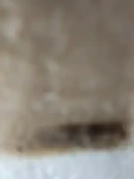 Snapshot of Cr_sonam chatting on 11.24.25 Cr sonam online show from 11.24.25