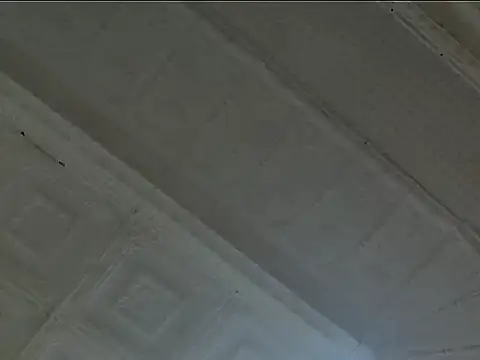 Snapshot of EsotericPaloma chatting on 10.24.25 EsotericPaloma online show from 10.24.25