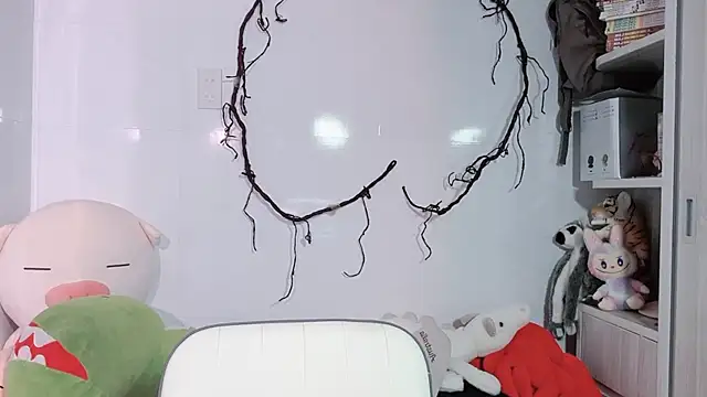 BeChinh Lee online show from 08.01.26