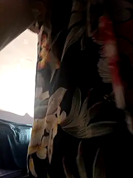 Snapshot of DelayedAnalog720 chatting on 01.16.26 DelayedAnalog720 online show from 01.16.26