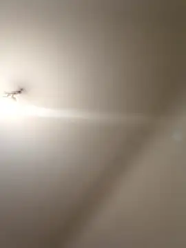 labellerose online show from 01.09.26