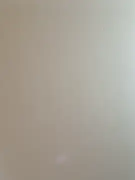 labellerose online show from 02.25.26