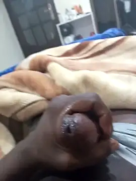 Snapshot of Sahrawi-fhal chatting on 02.02.26 Sahrawi-fhal online show from 02.02.26