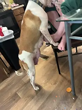 Snapshot of Mustbethemoney1234 chatting on 04.06.26 Mustbethemoney1234 online show from 04.06.26