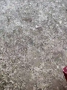 play boy-raj007 online show from 11.02.25