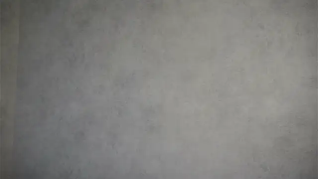 MonetLeitman online show from 05.09.26