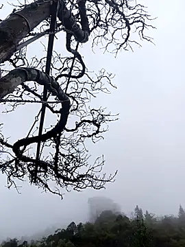 siusiu-00 online show from 11.01.25